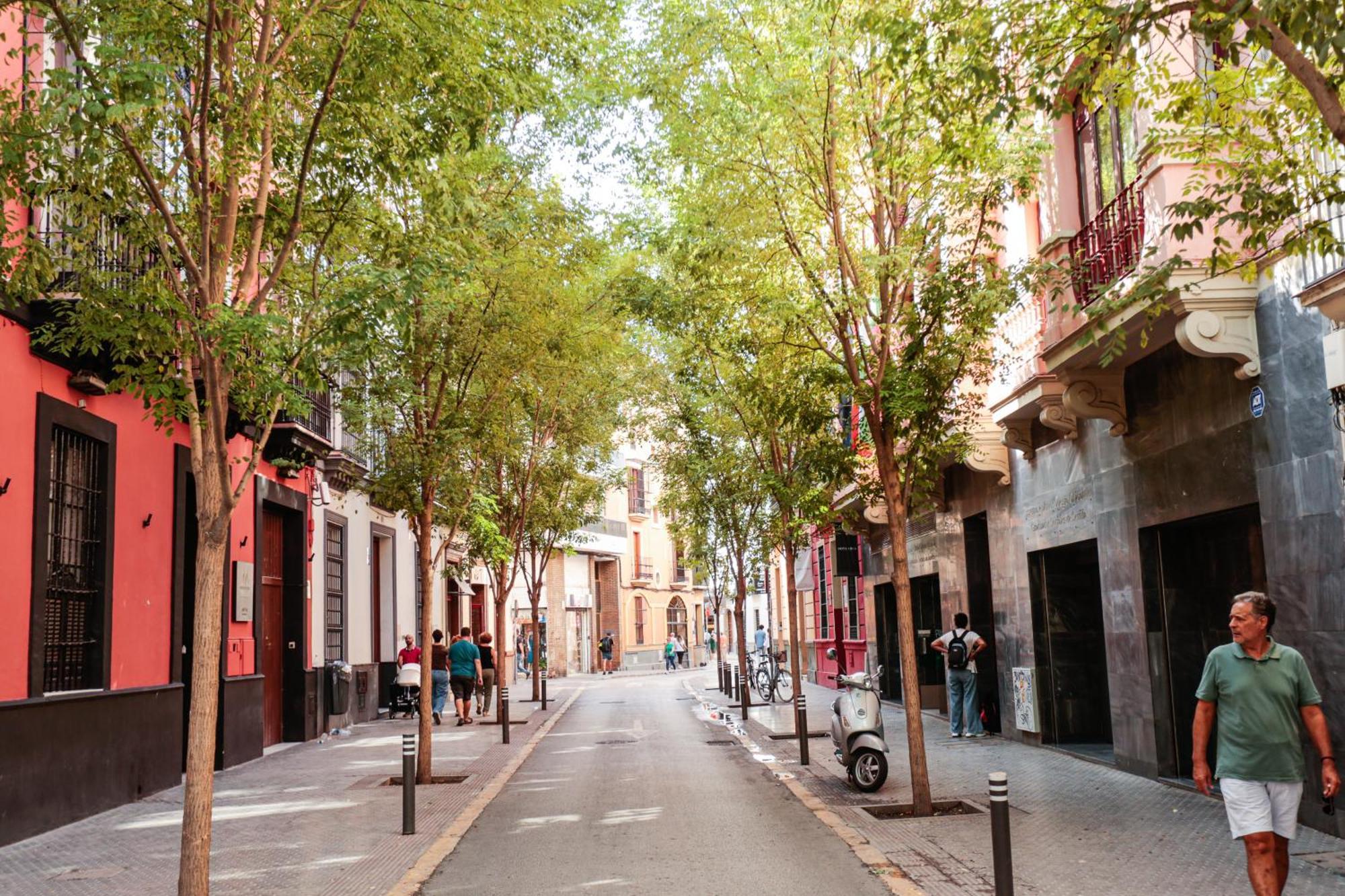 Monkeys Apartments Cervantes Sevilla Exteriör bild