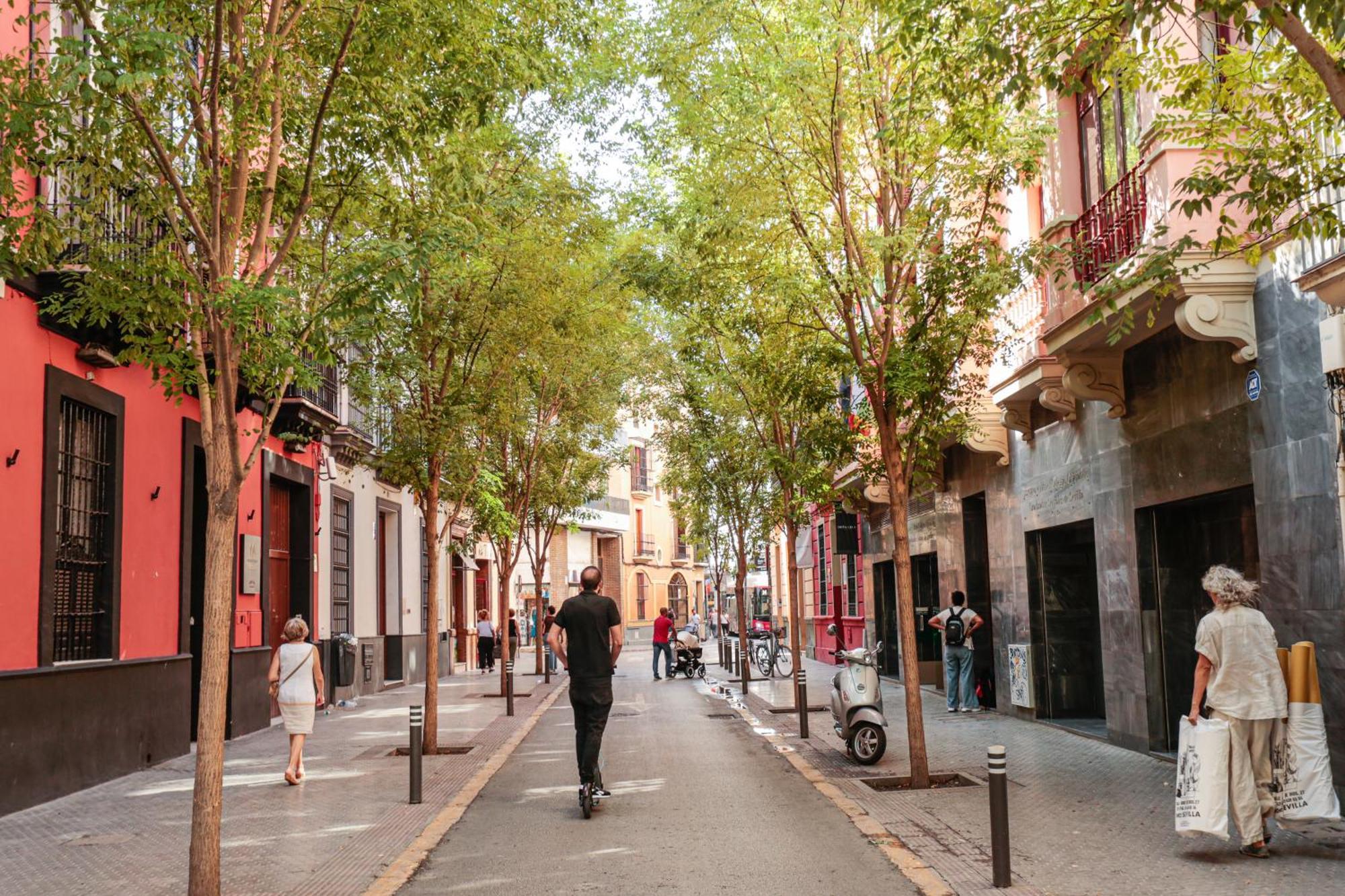Monkeys Apartments Cervantes Sevilla Exteriör bild